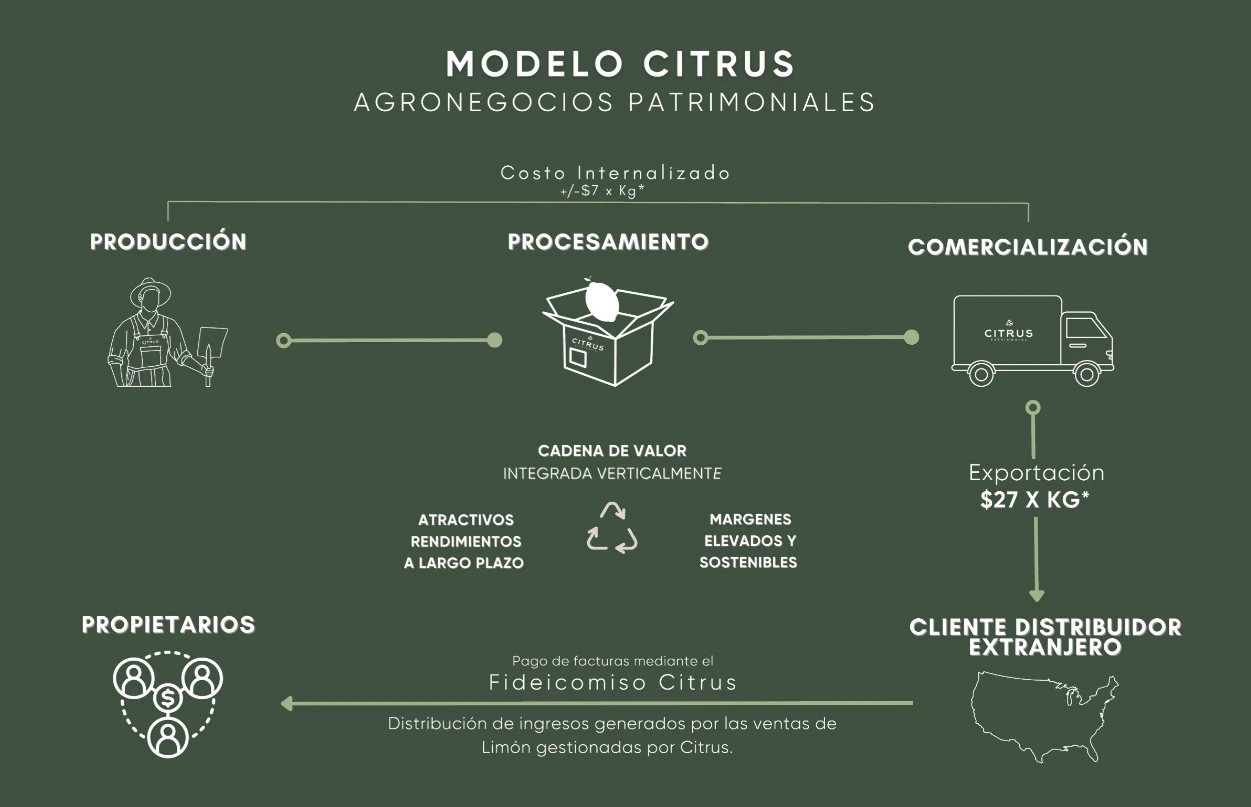 Citrus Patrimonial